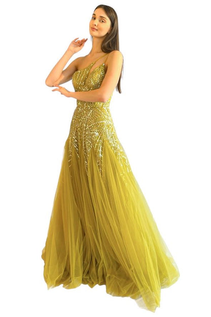 Larmoire Golden Glow Embellished Tulle Gown